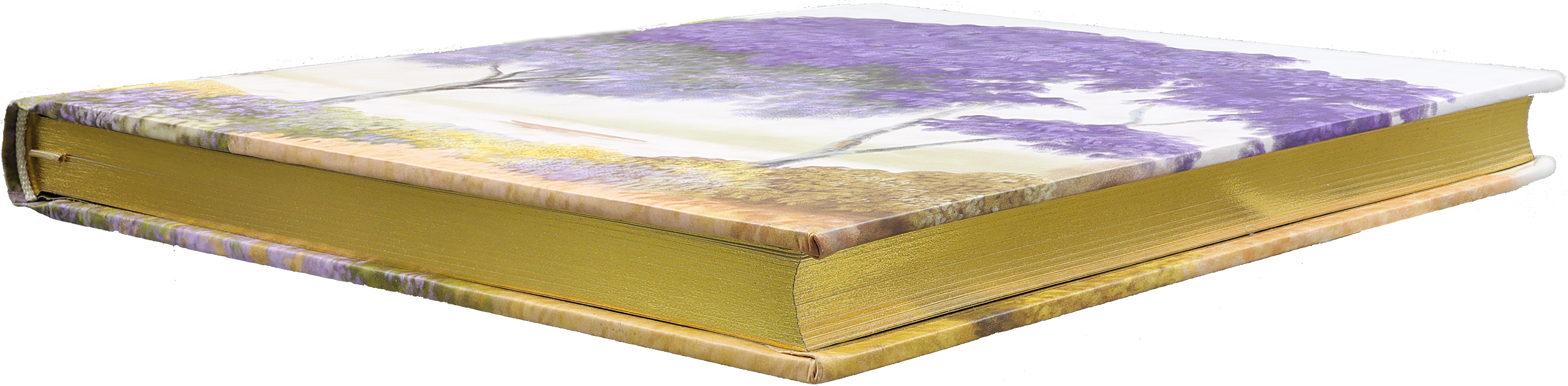 Midsummer Day Journal