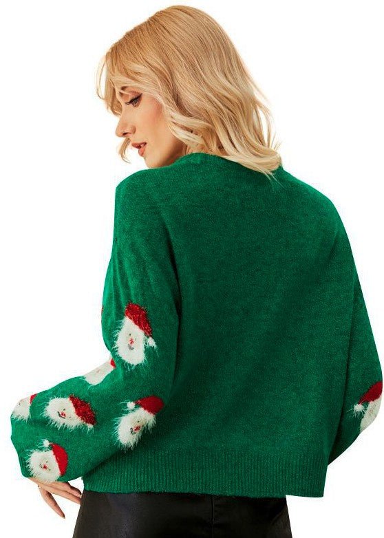 Santa claus sweater - RaeLynns Boutique